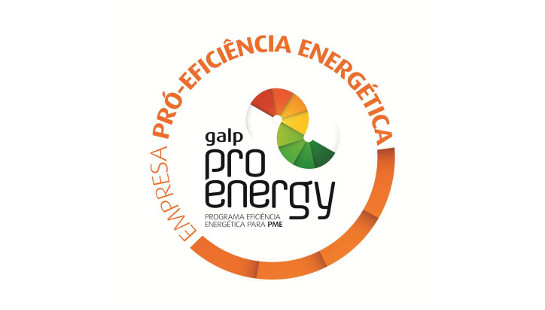 Palmela Desporto recebeu “Selo Galp ProEnergy 2016”