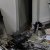 Explosão de multibanco na Piscina de Pinhal Novo